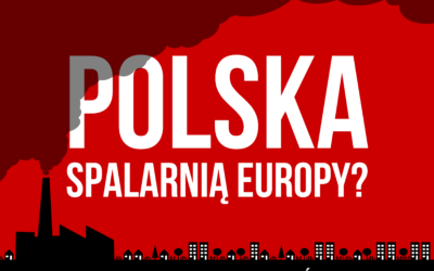 Polska spalarnią Europy?
