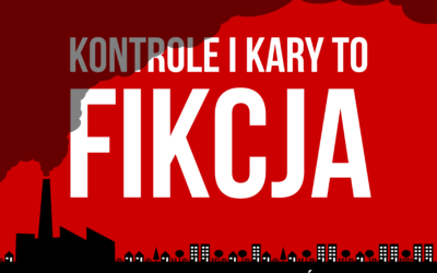 Kontrole i kary to fikcja!